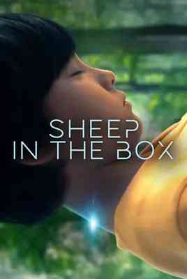 گوسفند در جعبه | Sheep in the Box