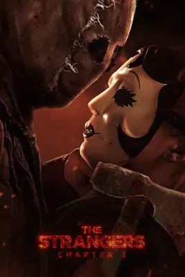 غریبه ها: بخش سوم | The Strangers: Chapter 3