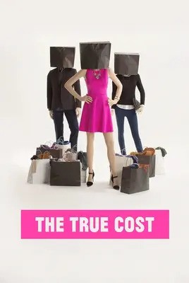 هزینه واقعی | The True Cost