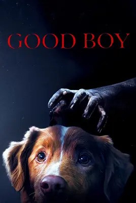پسر خوب | Good Boy